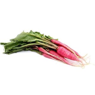 بذر تربچه شانکیو نیمه بلند