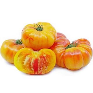 بذر گوجه فرنگی رنگین کمان