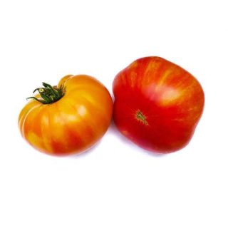 بذر گوجه فرنگی رنگین کمان