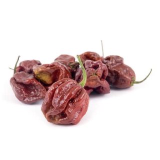 بذر فلفل شکلاتی