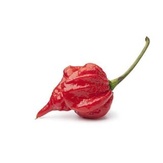 فلفل عقربی تیرینیداد