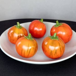 بذر بادمجان قرمز ترکی