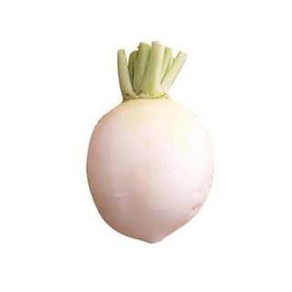 بذر شلغم شوگوین