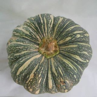 بذر کدو تنبل کاریبین