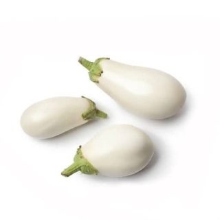 بذر بادمجان سفید گوست باستر