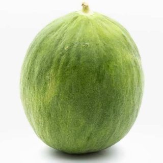 بذر خیار گرد ایتالیایی