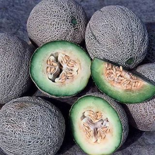طالبی راک فورد سبز