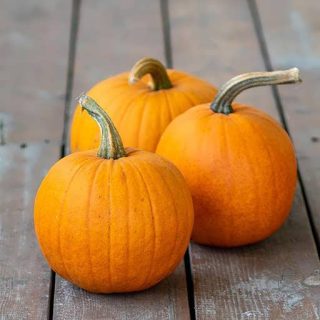 کدو تنبل کوچک شیرین