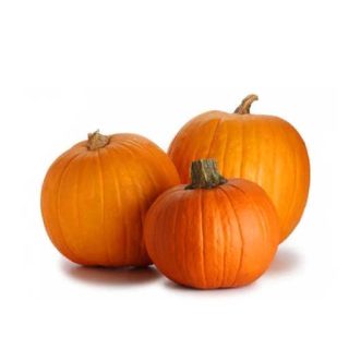 بذر کدو تنبل کوچک شیرین