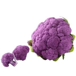 بذر گل کلم بنفش سیسیلی