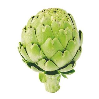 بذر آرتیشو سبز