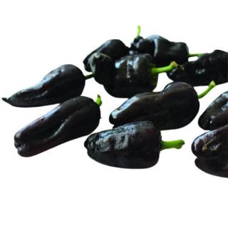 بذر فلفل کوبانله سیاه