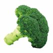 کلم بروکلی سبز تازه