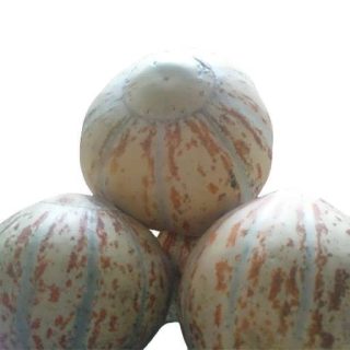 بذر خربزه تیل آتشی