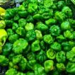 بذر فلفل اجی دو سی سبز