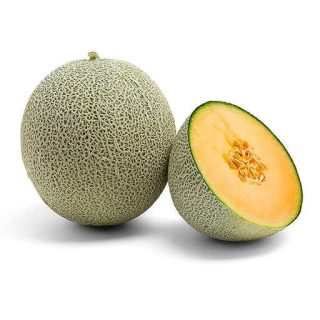 بذر خربزه سبز علم دار