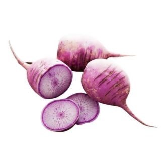 بذر تربچه دایکون