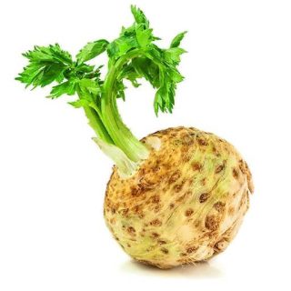 بذر کرفس کوهی