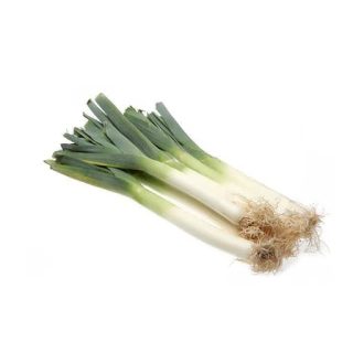 بذر تره فرنگی پا بلند