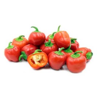 بذر فلفل دلمه ای بشقابی میکس