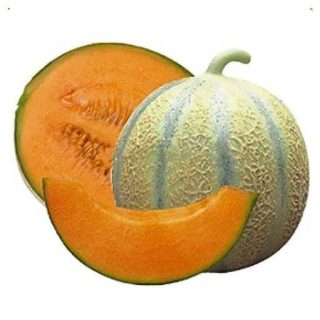 بذر طالبی سمسوری