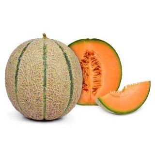 بذر طالبی سمسوری