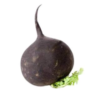 بذر ترب سیاه گرد