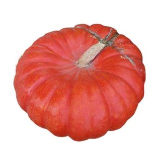 بذر کدو مربایی