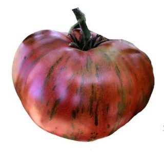 بذر گوجه فرنگی شکلاتی