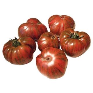 بذر گوجه فرنگی شکلاتی