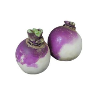 شلغم بنفش و سفید