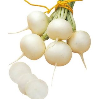 بذر ترب سفید گرد