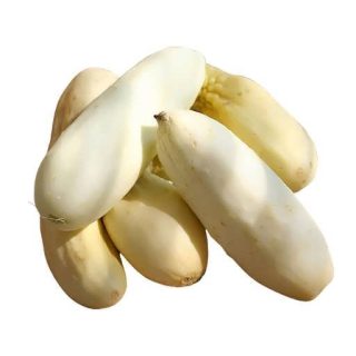 بذر خیار سفید معطر