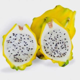 بذر دراگون فروت زرد