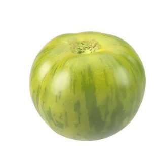 بذر گوجه فرنگی سبز زبرا