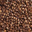 درخت قهوه عربی خوب
