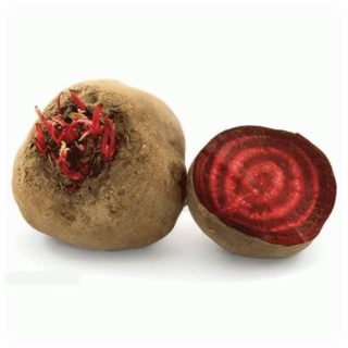 بذر لبو سرخ ردرویت