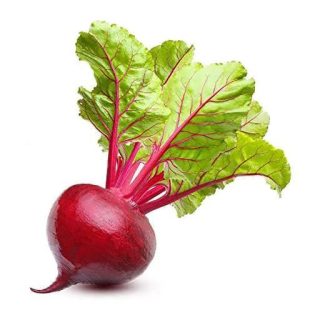 بذر لبو قرمز ملکه