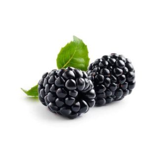 بذر بوی سن بری