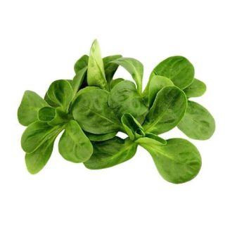 والریانا (سالاد کورن)