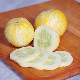 بذر خیار لیمویی