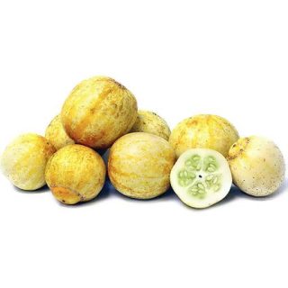 بذر خیار لیمویی