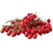 بذر گوجه گیلاسی قرمز فیاسچتو