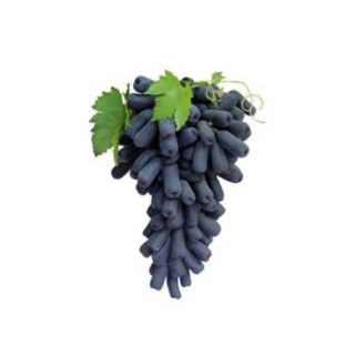 انگور انگشتی خوب