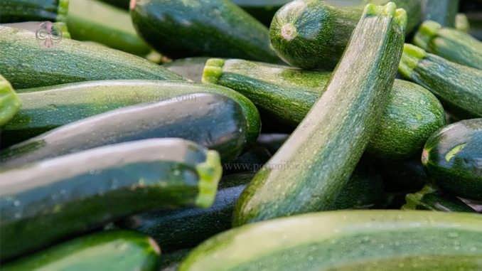 چگونه گیاه کدو سبز را پرورش دهیم