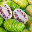توت هندی زیبا