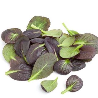 اسفناج خردل ژاپنی قرمز تازه