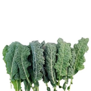 بذر کلم کیل علوفه برتر