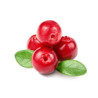 بذر لینگون بری (میوه مورد صحرایی قرمز)