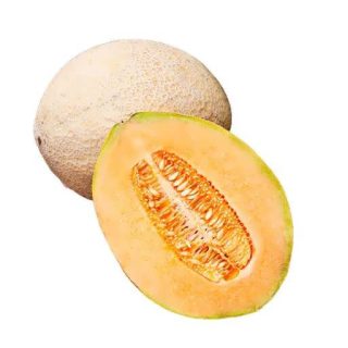 بذر طالبی جامبو